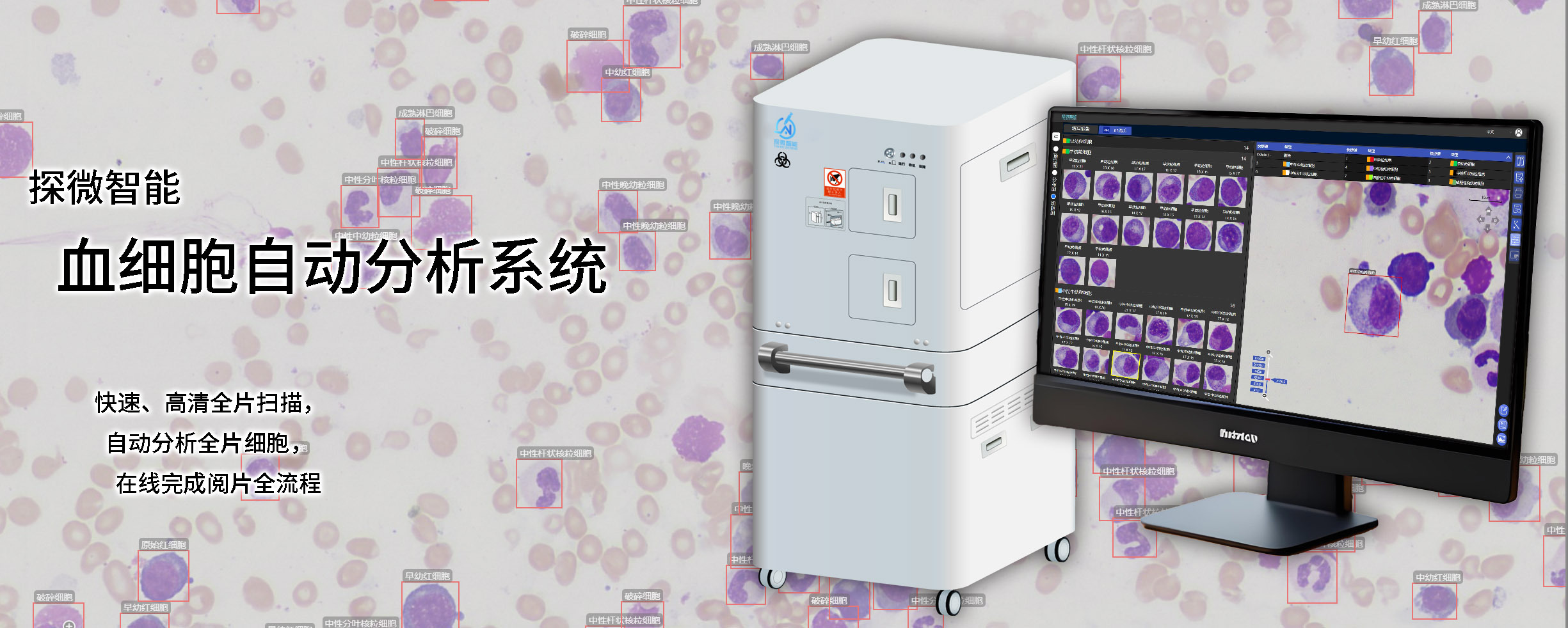 细胞自动分析系统