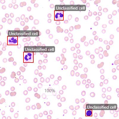 boold cell