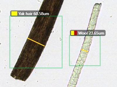 Animal Hair Fibers
