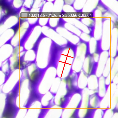 Special-Shaped Glassfiber Cross-section