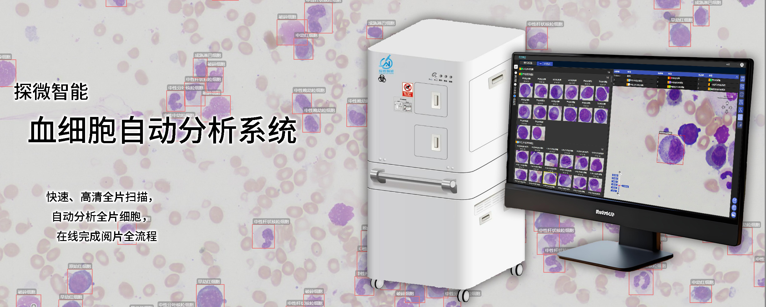 细胞自动分析系统