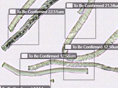 fiber diameter