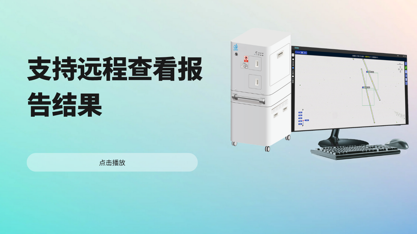支持远程查看报告结果