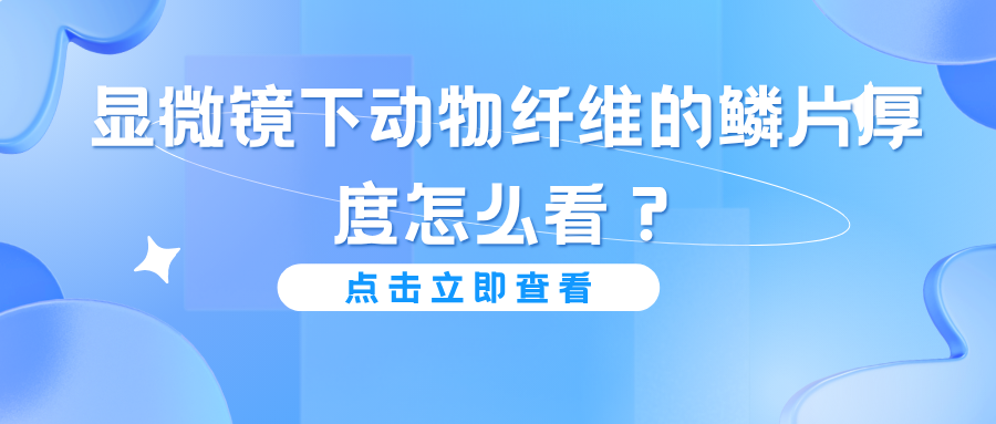 显微镜下动物纤维的鳞片厚度怎么看？